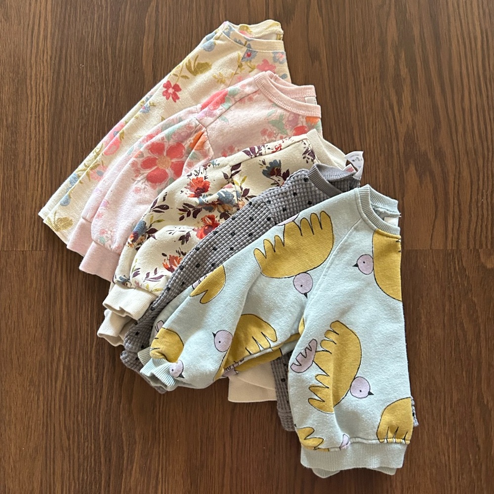 Zara Kids Floral and Bird Print Sweatshirt Set
